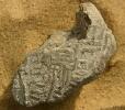 Během výzkumu této části stavby byla objevena tato hliněná pečeť se jménem panovníka Niuserrea.