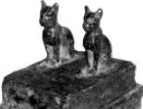 od_nilu/Cat.jpg