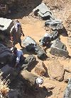 MG_6566.jpg